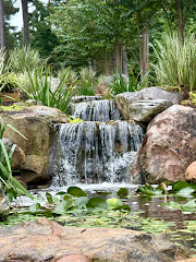 Springer Ponds & Water Gardens logo