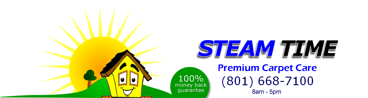 Steam Time Carpet Cleaning logo