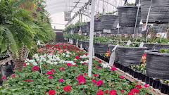 Sunny Acres Greenhouse LLC logo