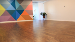 Sweet Lotus Yoga Studio logo