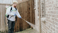 T-Rex Pest Control logo