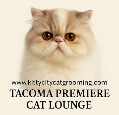 Tacoma Cat Grooming Kitty City logo