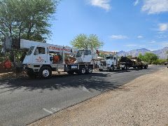 TC Tree Service LLC logo