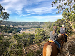 Texas Horse Adventures logo