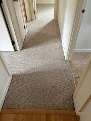 The Carpet Solution Inc. logo