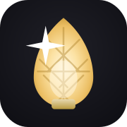 The Christmas Lights Experts logo