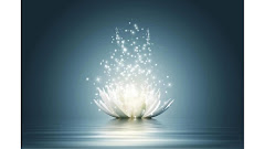 The Lotus and The Light Metaphysical Center logo