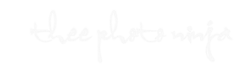 Thee Photo Ninja logo