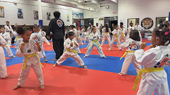 Tiger J Kim's World Class Taekwondo 4 logo