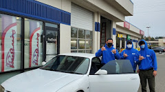Tinting To-Go logo