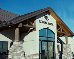 TLC Animal Hospital logo