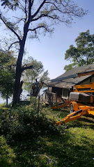 Torres Tree Service, LLC logo