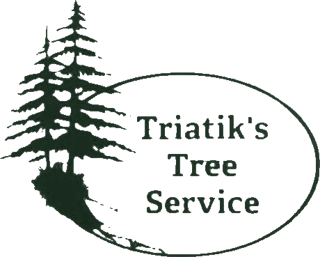 Triatik's Tree Service, LLC logo
