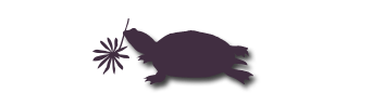 Turtle Creek Nursery & Landscaping logo