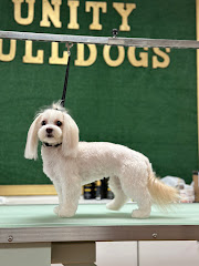Unity Bulldogs Pet Grooming logo