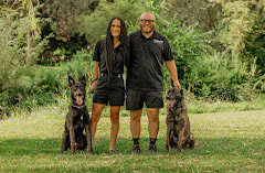 Valley K9 Training Co logo