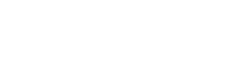 VICTRII.FIT logo