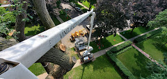 Vineland Tree Care logo