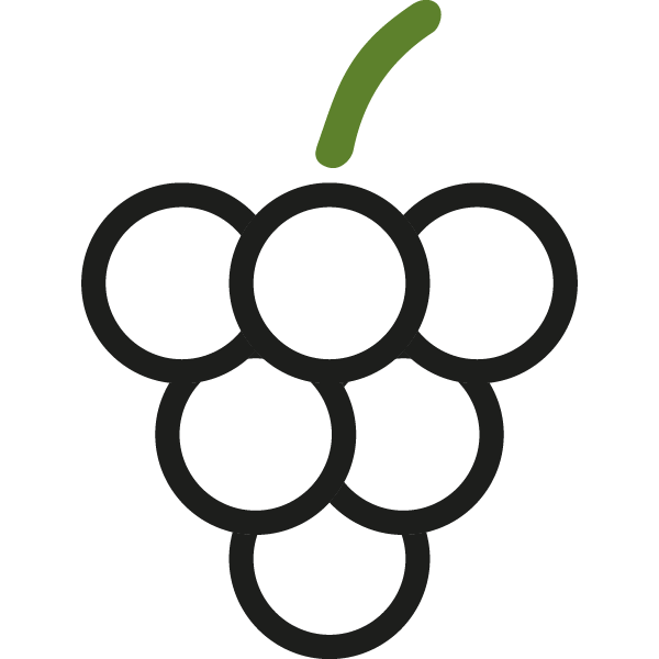 Vitis House logo