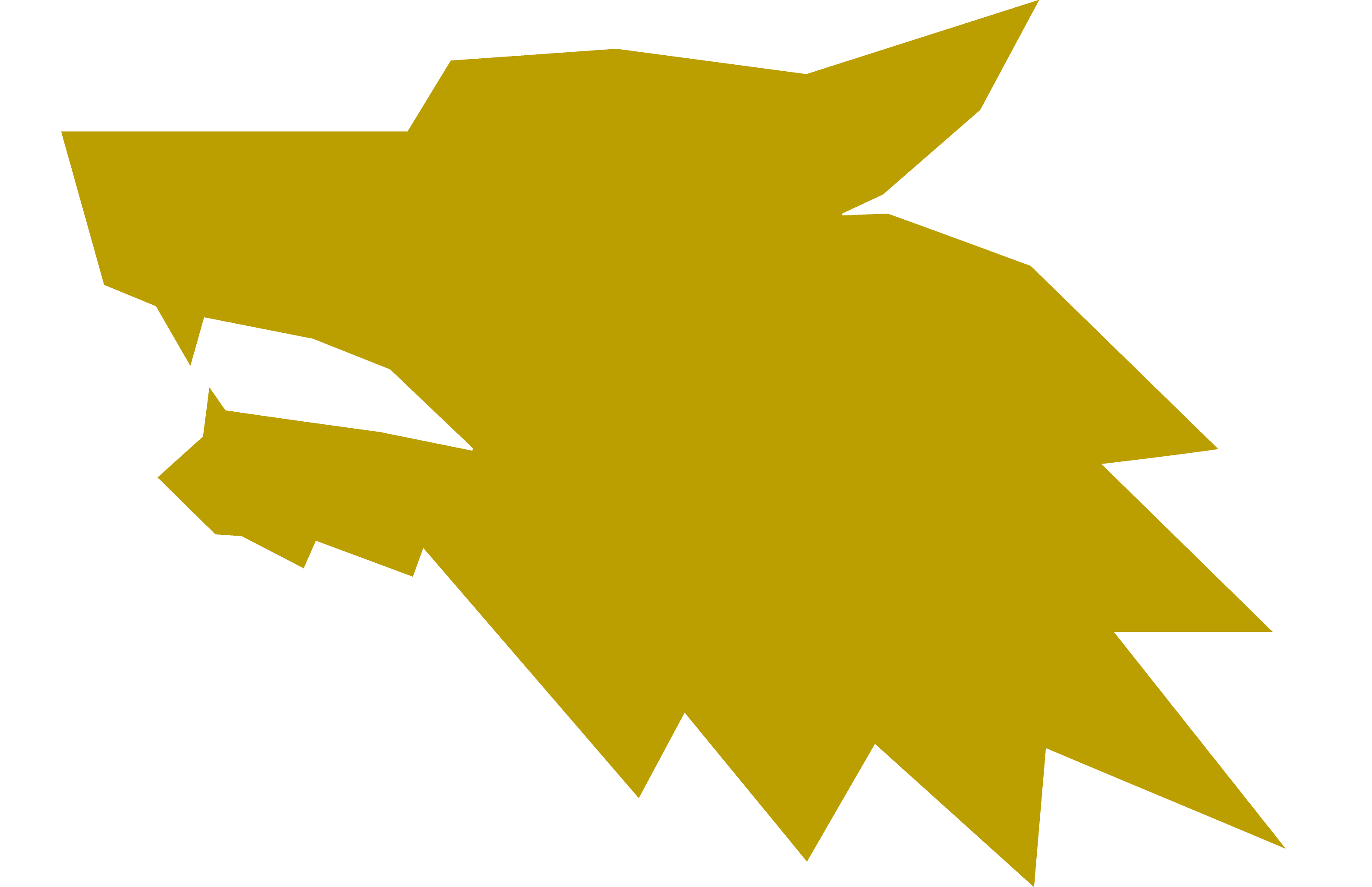 W.O.L.F. Fitness Palmbay logo