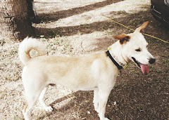 Wagging Tails Pet Store logo