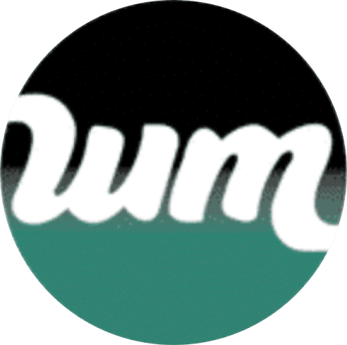 Wash Masters logo