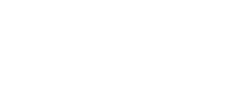Waterale logo