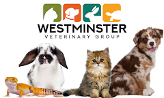 Westminster Veterinary Group logo