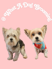 What A Dog Grooming logo