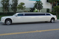 White Eagles Limo Service logo