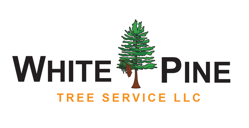 White Pine Tree Service LLC logo