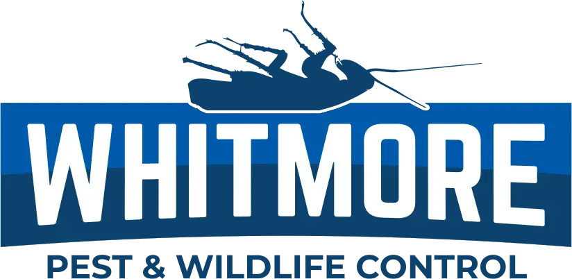 Whitmore Pest & Wildlife Control of Denver logo