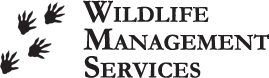 Wildlife Management Services logo