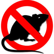 Xpert Rodent Solutions - Pest Control Service, San Mateo County, California logo