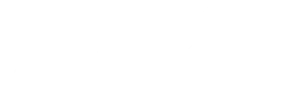 ZDetail Studio & Mobile logo