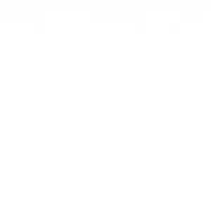 Zen Windows Twin Cities logo