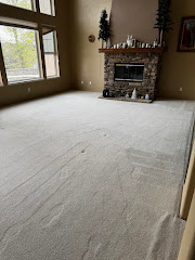 Zerorez Carpet Cleaning logo