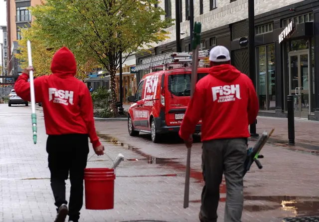 Fish Window Cleaning — photo from the business 3