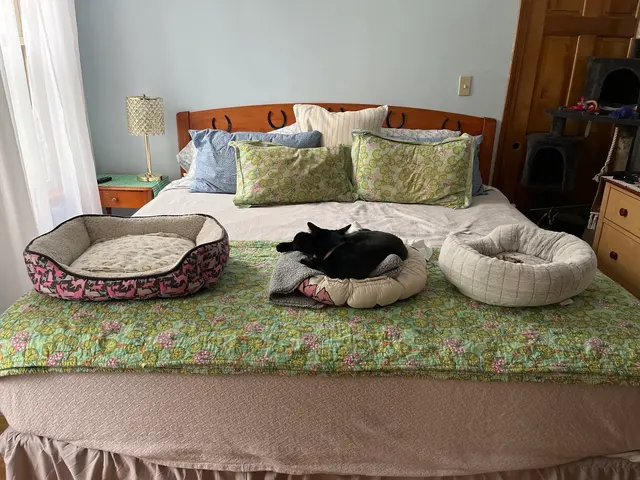 Tidy Here Cleaning Service Boston — customer photo 8