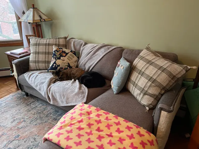 Tidy Here Cleaning Service Boston — customer photo 9