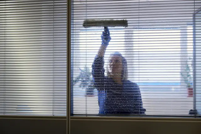 Unicorn Window Cleaning — customer photo 6