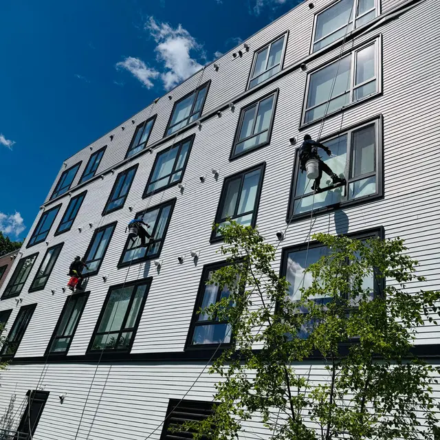 Ally Window Cleaning — photo from the business 2