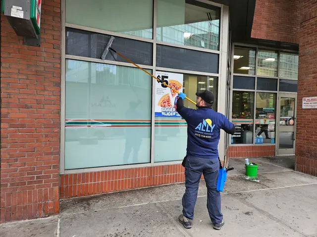 Ally Window Cleaning — photo from the business 9