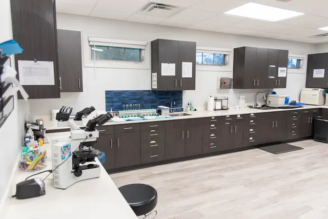 Chang Dermatology and Skin Surgery Center — photo from the business 8