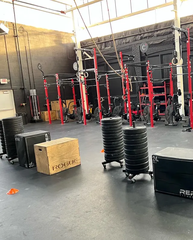 C4 Athletics — customer photo 12