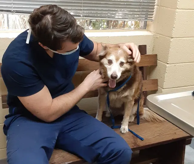 Tustana Animal Hospital — photo from the business 3