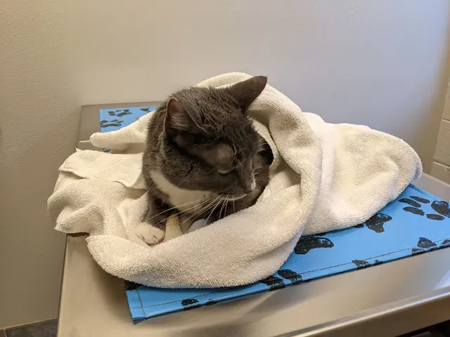 Tustana Animal Hospital — customer photo 8