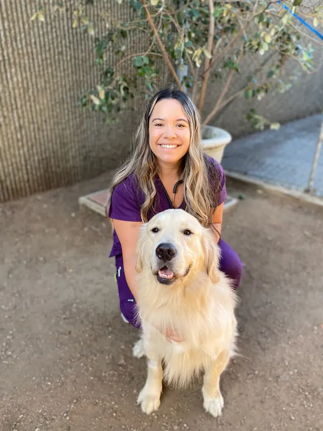 Tustana Animal Hospital — photo from the business 11