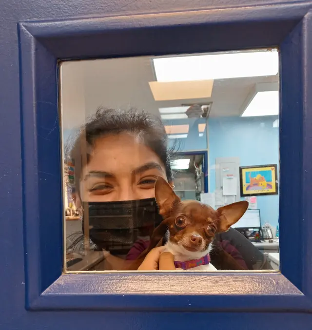 Tustana Animal Hospital — photo from the business 12
