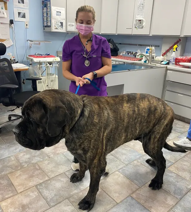 Tustana Animal Hospital — photo from the business 10